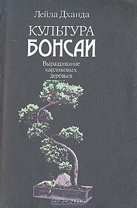 Культура бонсаи. Выращивание карликовых деревьев