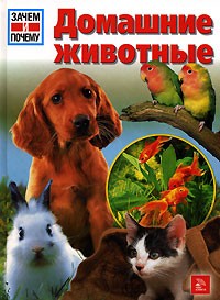 Домашние животные