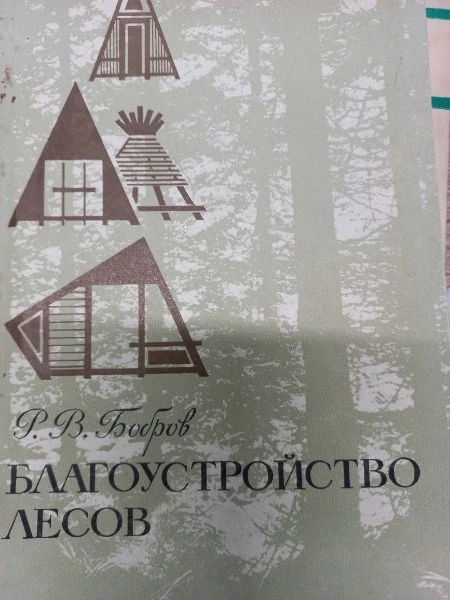 Благоустройство лесов