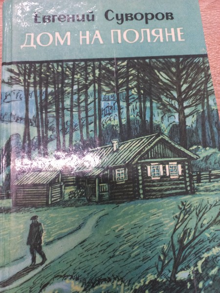 Дом на поляне