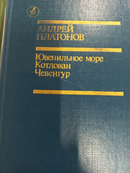 Чевенгур. Котлован. Ювенильное море