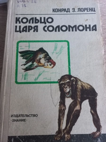 Кольцо царя Соломона