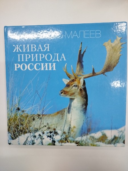 Живая природа России