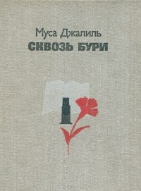 Сквозь бури (сборник)