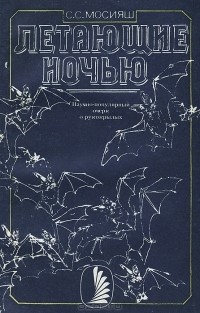 Летающие ночью