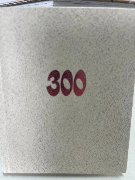 300 лет. Здравствуй, Иркутск. Стихи и песни. Сувенирное издание.