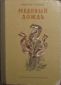 Медовый дождь