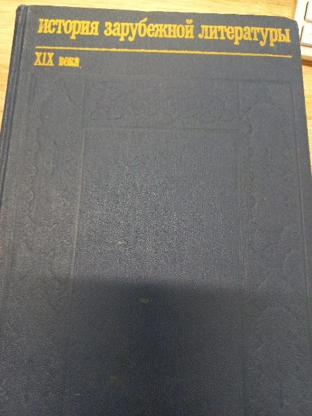 История зарубежной литературы XIX века