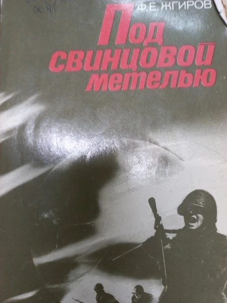 Под свинцовой метелью