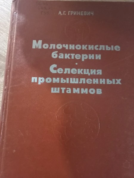Молочнокислые бактерии Селекция промышленных штааммов
