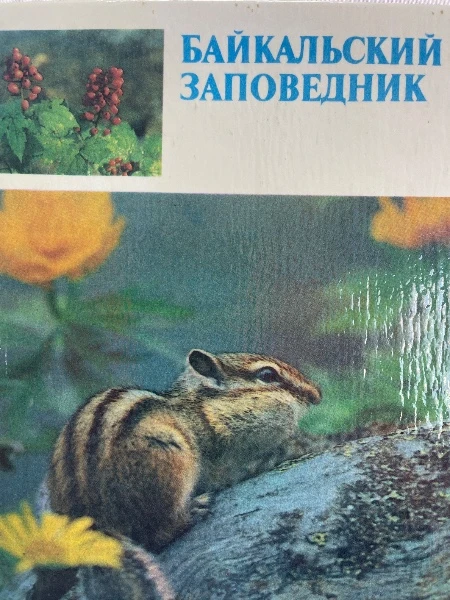 Байкальский заповедник