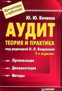 Аудит.Теория и практика. 3-е изд.