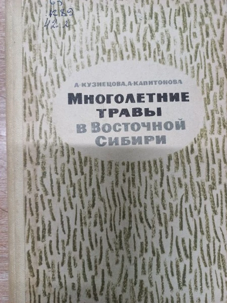 Многолетние травы в Восточной Сибири