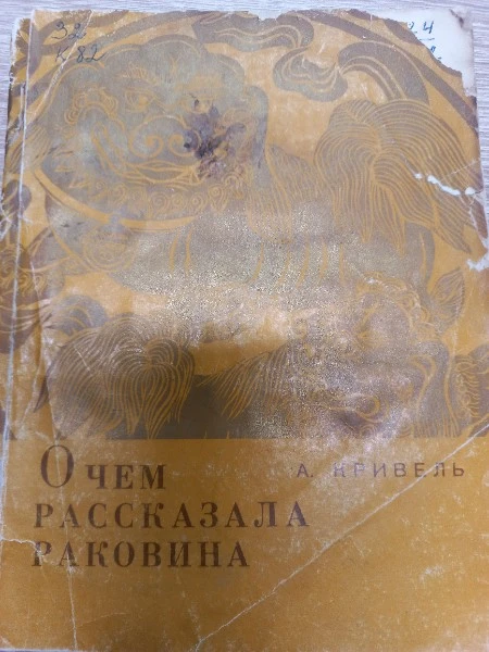 О чем рассказала раковина