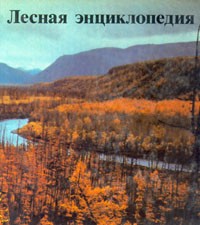 Лесная энциклопедия. В двух томах. Том 2