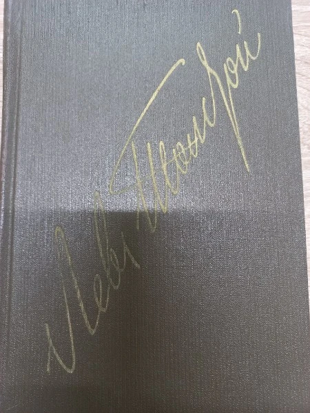 Собрание сочинений в двадцати двух томах. Том тринадцатый Воскресение