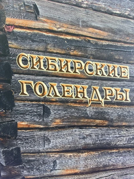 Сибирские Голендры. История. Судьба. Культура