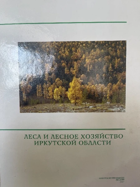 Леса и лесное хозяйство Иркутской области