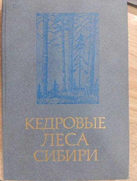 Кедровые леса Сибири