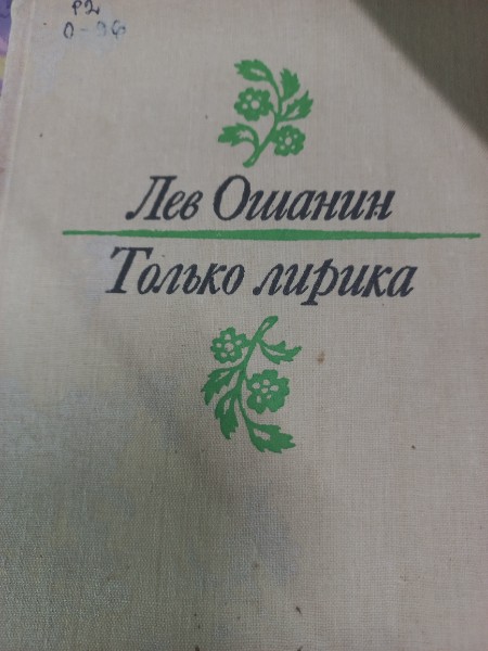 Только лирика