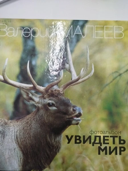 Увидеть мир