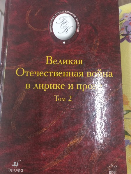 Великая Отечественная война в лирике и прозе. В 2 томах. Том 2