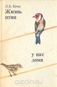 Жизнь птиц у нас дома