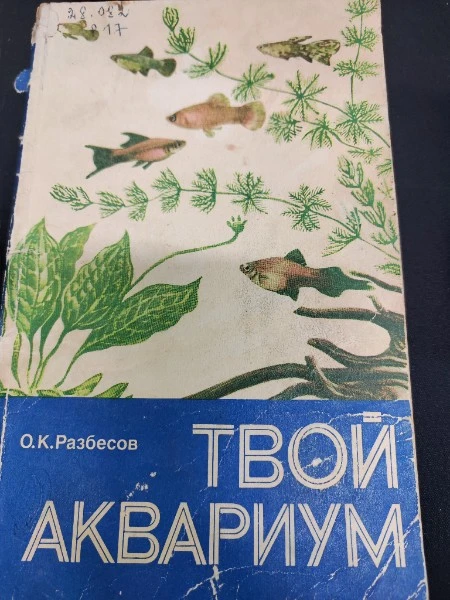 Твой аквариум
