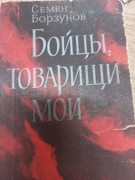 Бойцы, товарищи мои