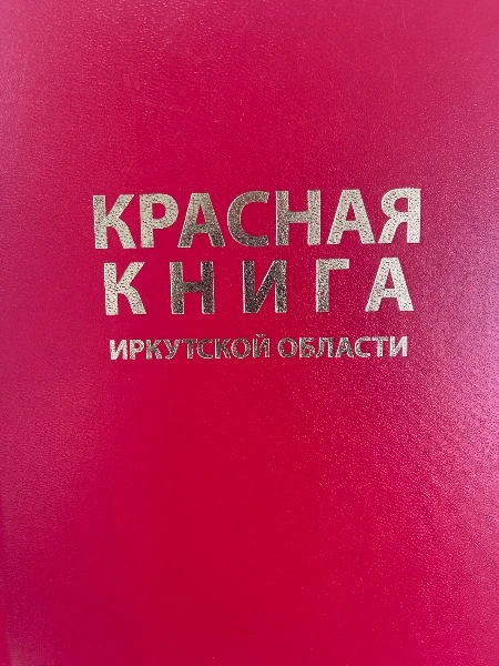 Красная книга Иркутской области