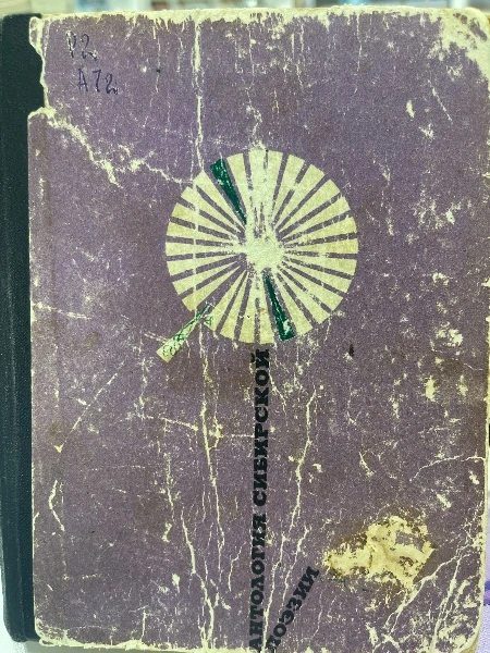 Антология сибирской поэзии.