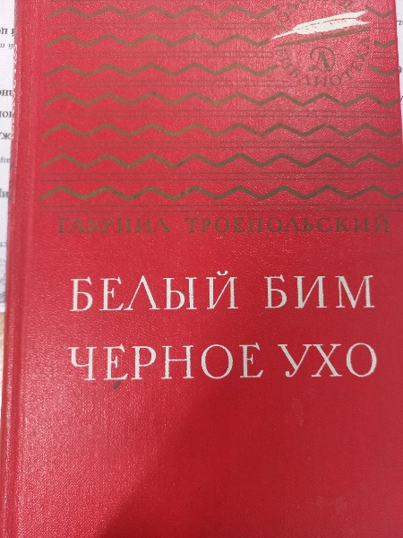 Белый Бим черное ухо