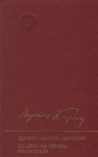 Долгое-долгое детство. Не бросай огонь, Прометей! (сборник)