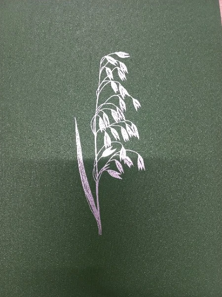 Жизнь растений. Энциклопедия в шести томах. Том 6. Цветковые растения