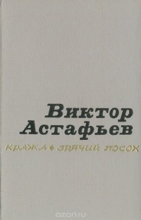 Кража. Зрячий посох (сборник)