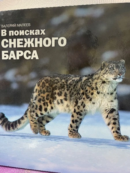 В поисках снежного барса