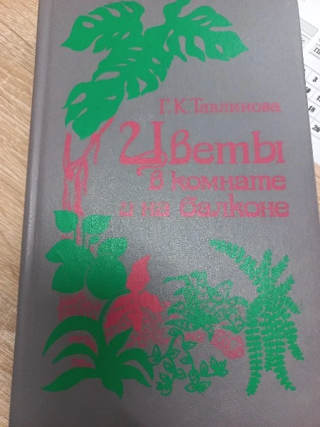 Цветы в комнате и на балконе