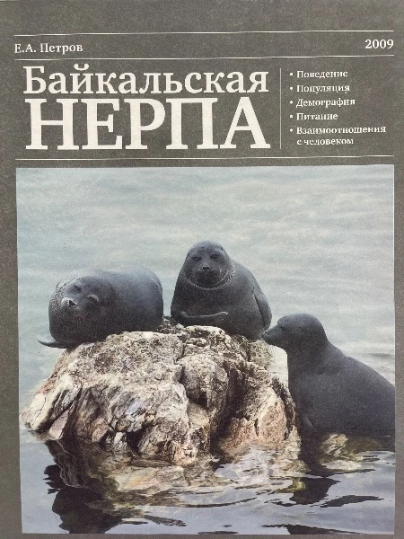 Байкальская нерпа.