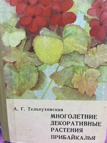 Многолетние декоративные растения Прибайкалья