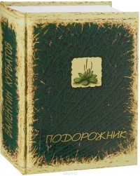 Подорожник. Встречи в пути, или Нечаянная история литературы в автографах попутчиков