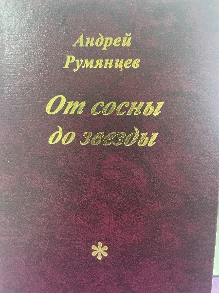 От сосны до звезды