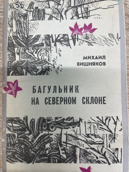 Багульник на Северном склоне