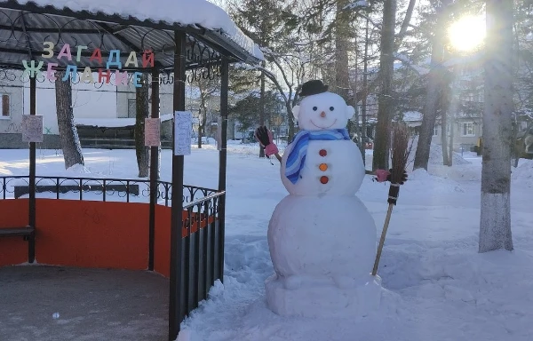 День рождения Снеговика