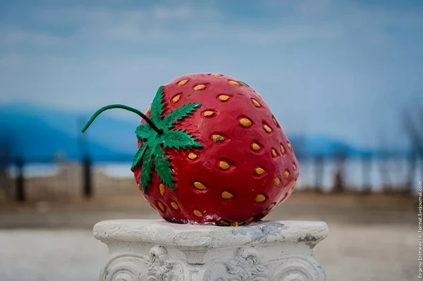 Моя любимая клубника - 2024